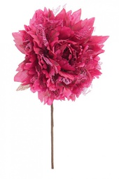 [B0925451] 12x Pick Rosa Frise' Borgogna