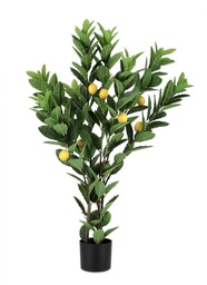 [B0172849] 2x Pianta Limone C-Vaso 224Foglie H115