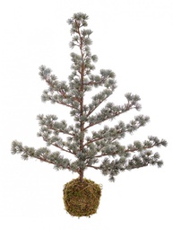 [B0937152] 2x Pino Kokedama Arctic Ghiacciato H85