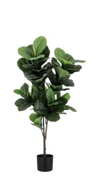 [B0172843] 4x Pianta Ficus Lyrata C-Vaso 72Foglie H120