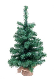 [B0939648] 6x Albero Innsbruck H60