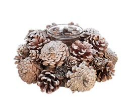 [B0931028] 6x P.Candela 1P Frozen To