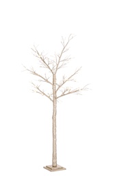 [20100627] Albero Timber CAltezza a Altezza 160 - 96Led Classortiti icip20