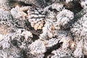 Albero Arves Innevato H240-2513Rami 450L