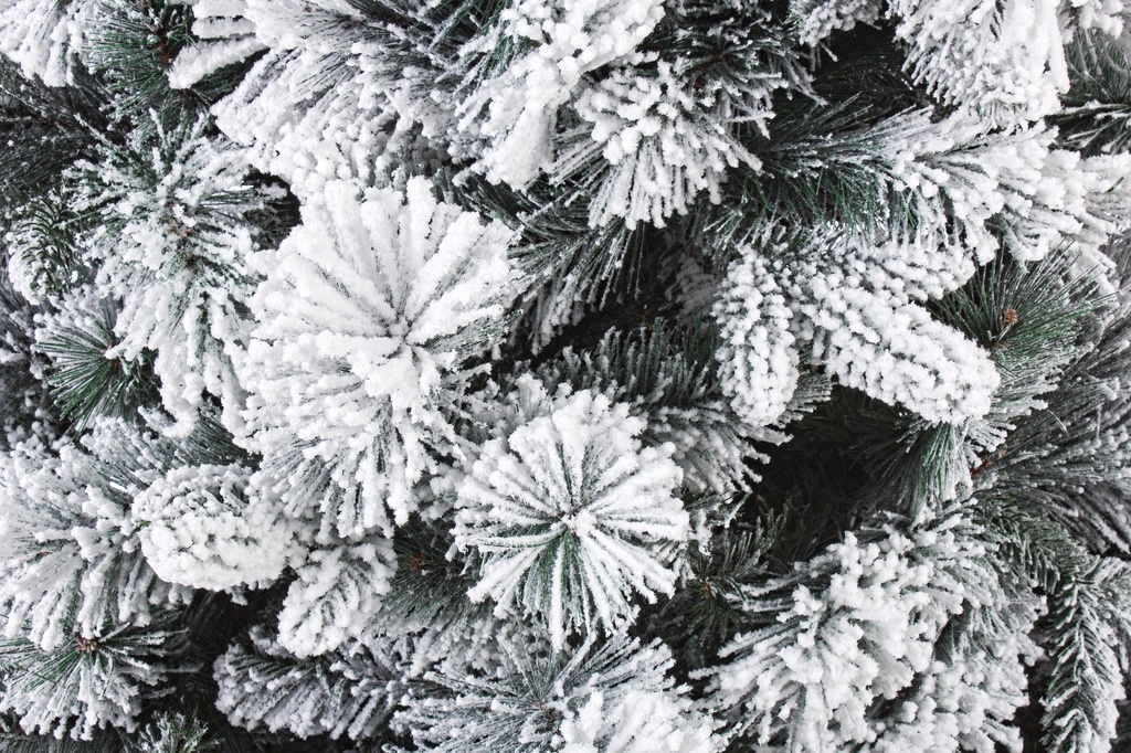 Albero Garlenda H180- 698 rami