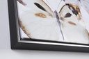 Dipinto Olio C-C Crown V042-1 82.5X82.5  