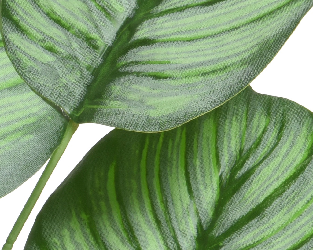 Pianta Calathea in poliestere con vaso D44x31h cm