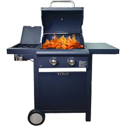 [CAP90756] Barbecue a Gas KE001