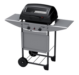 [CAP13161] Barbecue a Pietra Lavica