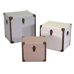[V3823010000] Baule ecopelle 1-3 naturale quadro cm 50x40h50