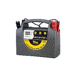[1992549] Caricabatterie Vigor Inverter Volt 12