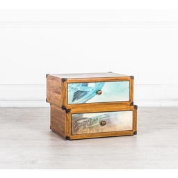 [WEAL011] Cassettiera 2 cassetti decorati multicolor in legno di mango  40x5h.40 cm