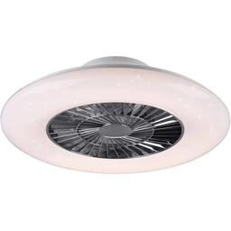 [2002690] Plafoniera e ventilatore da soffitto