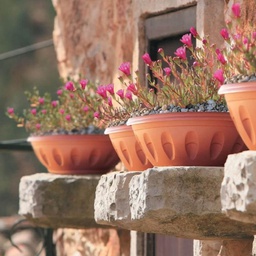 [1915279] Vaso Ciotola In Resina Bama D40 Colore Terracotta Con Sottovaso