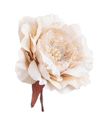 [B0939388] 12x Pick Peonia Perle Beige