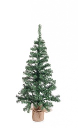 [B0971984] 2x Albero Cerano H130-173Rami