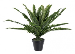 [B0172400] 2x Pianta Felce C-Vaso 24Foglie H45Cm