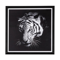 [B0240879] 2x Quadro C-C Evidence 105 43X43
