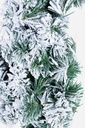 4x Stella Nantes Innevata H60