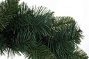 6x Corona Bellamonte D60