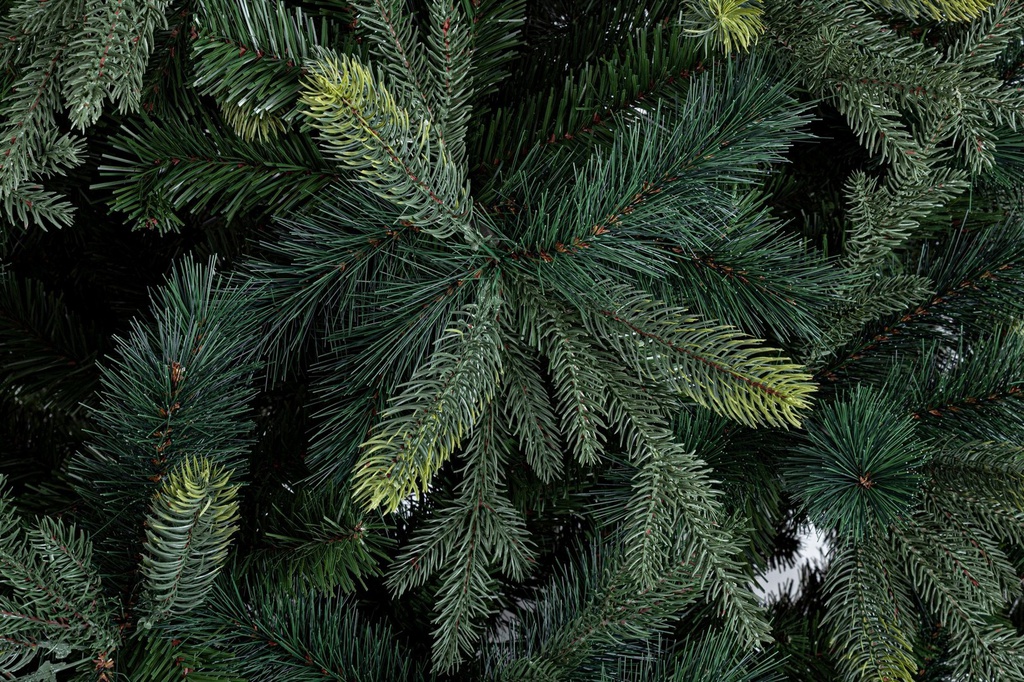 Albero Antelao H300-5495 rami