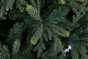 Albero Antelao H300-5495 rami