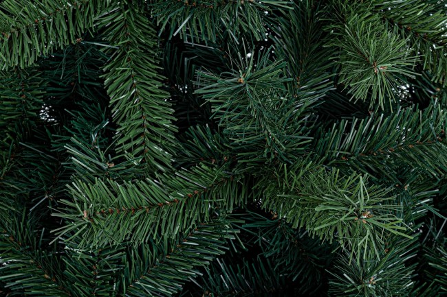 Albero Bellamonte Fr H210-1145Rami