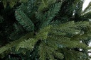 Albero Bernina H240-4117Rami