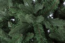 Albero Frejus H150-1194Rami