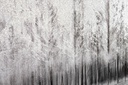 Dipinto con cornice Gallery 956 80x60  Cod.0240966