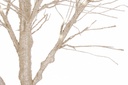 Albero Timber in metallo rivestito in carta altezza 210 - 120Led ip20