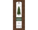 Albero di Natale Grandis slim fir H 150 x ø 80 cm