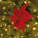 Fiore rosso H67 cm decorazione di natale