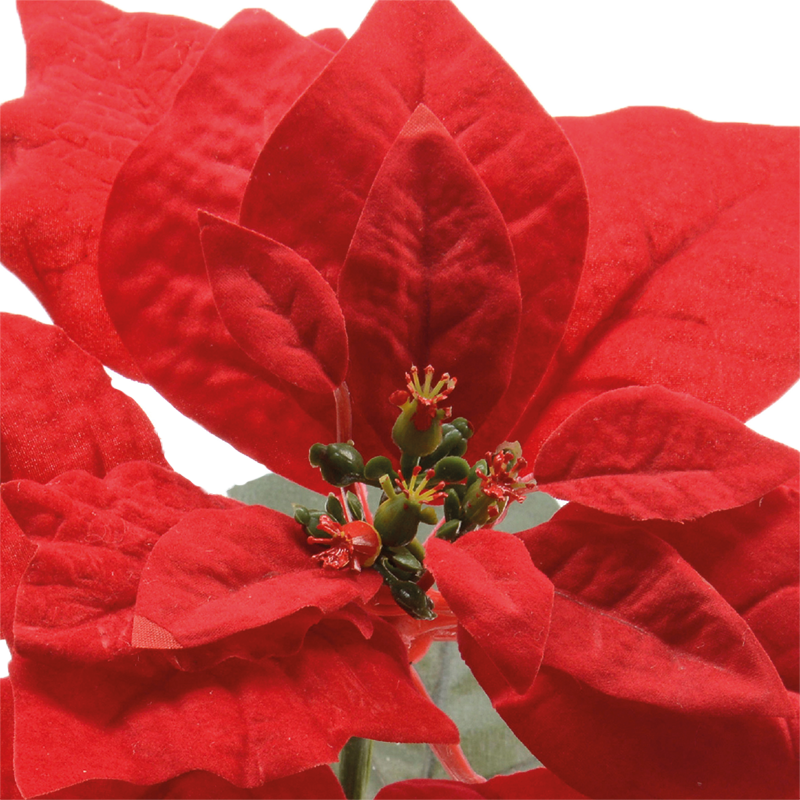 Fiore rosso H67 cm decorazione di natale