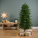 Albero di Natale Grandis slim fir H 150 x ø 80 cm