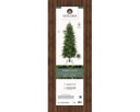 Albero di Natale Grandis slim fir H 210 x ø 100 cm