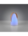 Lampada Da Tavolo Led Rgbw Haiti Bianco Ø13 cm IP44 Trio Lighting