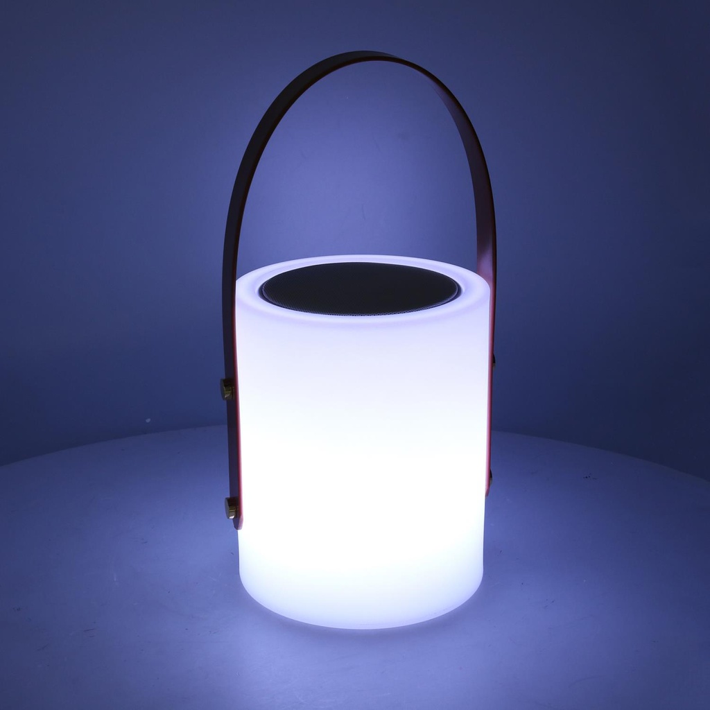 Lampada Led in plastica ricaricabile multicolor con musica cm20 h