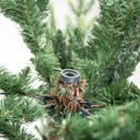 Albero monte baldo 1806 rami verde cm ø122h180