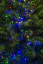 Luce filo 100 led multicolor con controller 8m
