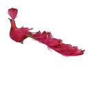 Pavone piume rosso con clip cm30x5h11