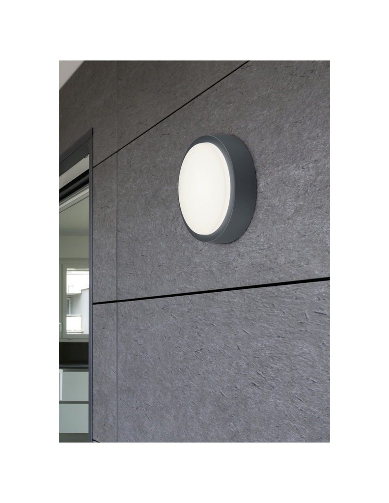 Plafoniera Da Esterno Breg Antracite IP54 Ø20 cm Trio Lighting