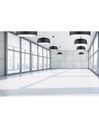 Sospensione Moderna Metallo Nero Baron 4 Luci Trio Lighting