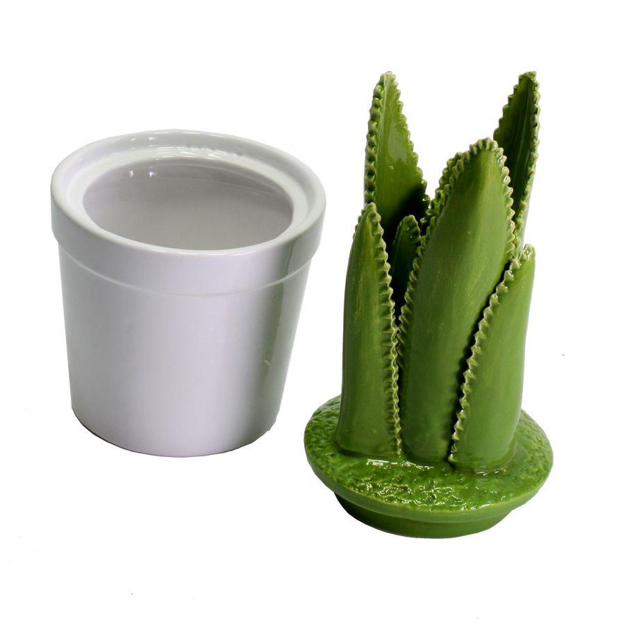 Vaso ceramica con cactus tondo cmø11