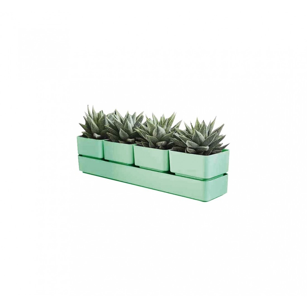 SIERRA 48 OLIVE