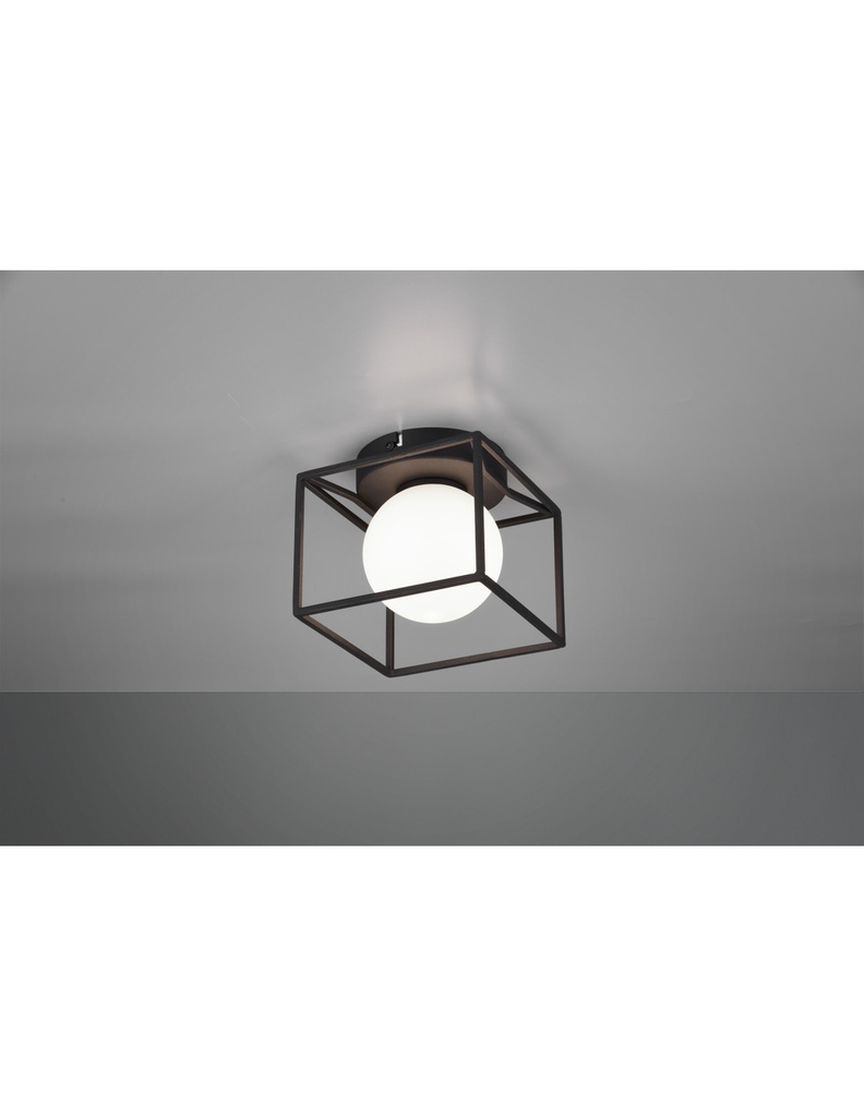 Applique-Plafoniera Gabbia 1xG9 Nero Opaco 14x14 cm Trio Lighting