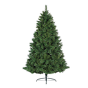Albero di Natale Ontario Pine Ø132 x H 210 cm