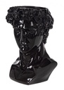 Busto Decorativo Olympus Nero H40 - 