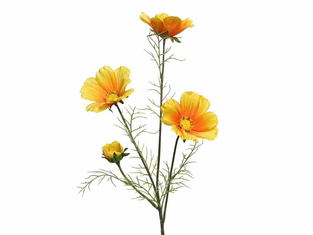 Coreopside Giallo H.64Cm