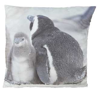 Cuscino pinguini xf-1234 cm. 50 x 50